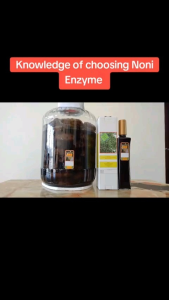 Noni Enzyme Malaysia 500ml. Ingredient: Noni fruit. 100% Pure Organic no add sugar preservatives artificial colouring and flavouring. After 10 months of fermentation clean fresh clear & enzyme dark in colour great A best quality. Certificate:  BVAQ.