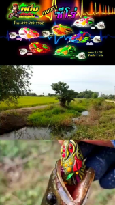 กบยางซีโร่ และ กบยางสโม๊ค ความยาว 3.5 cm.น้ำหนัก 7 g.ค่ายน้าหนึ่งทีมนครปฐม...