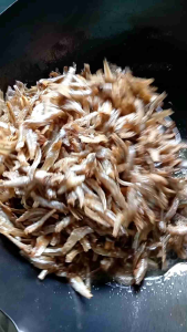 Goreng ikan bilis Fry Anchovies炸无内脏的江鱼仔, 用新鲜的蓝眼江鱼仔炸