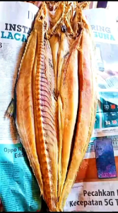 Ikan Asin Telang Tenggiri Kualitas Grade A Perekor