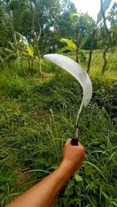 Arit Rumput Full Baja Bintang 5 + Rambanan Dijamin Amanah dan Sesuai