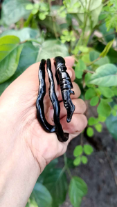 Gelang akar bahar hitam asli Ukir Kujang Ekor cabang Natural Original 100%