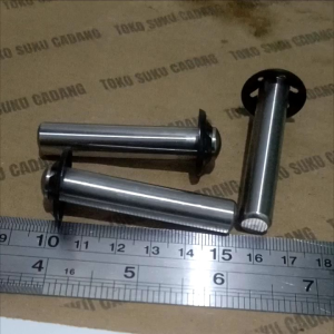 Pembersih Piston Reaim Original 10x55mm: Manfaat & Cara Penggunaan