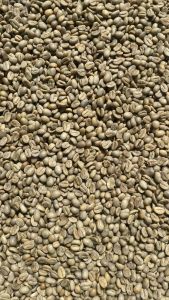 Biji Kopi Arabika Gayo Proses Natural grad 1 Green bean 1kg 100% kopi arabika gayo tanpa campuran asli dari petani kopi gayo