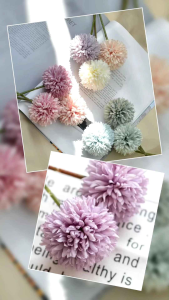 Bunga Dahlia Dandelion AF61 Sonic Bloom Pastel Color