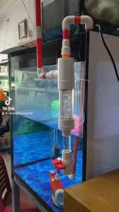 Ống tách phân sangking rành cho bộ tách phân hồ cá.