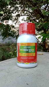 SHASHOU WANG SUPER - Pengendali Sistemik Gulma Sampai ke Akarnya