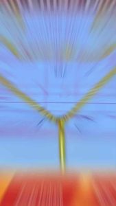 (ADA NOTA NB) Perhiasan kalung rantau emas berat 15gram asli sesuai gambar ada nota dari toko