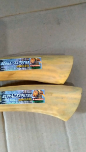 pisau pengupas buah kelapa dan penyadap aren ..