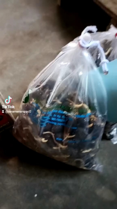 benih bibit sawit ppks simalungun medan isi 250