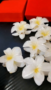 Jepit Jeday Kamboja Viral Jepit Rambut Warna Putih 5CM Plumeira Hair Clip Termurah
