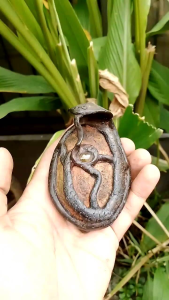 Batu Antik Temuan Alam motif ular cobra