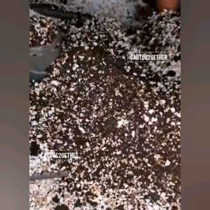 ดินผสมพร้อมปลูกกระบองเพชร ไม้ฟอกอากาศ ไม้ในร่ม ไม้ใบ ไม้ด่าง ดินเพาะเมล็ด