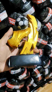 piala sepatu topskor. 19cm