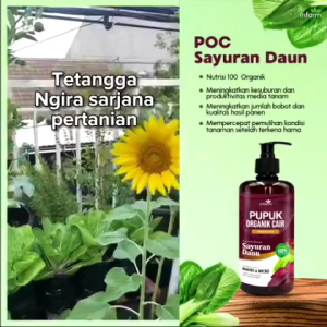 INFARM - Pupuk Organik Cair Tanaman Buah / Bunga 500mL POC Kompos