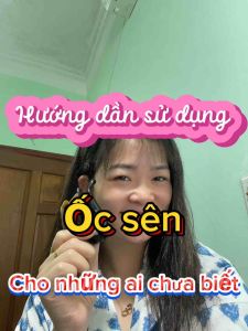 Ốc sên thân dứa massage bằng sừng dụng cụ ấn huyệt điện chuẩn khuyên người tiêu dùng