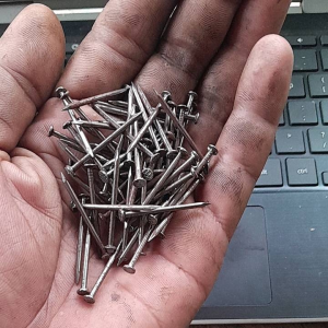 Paku 3 cm: Pilihan Tepat untuk Kandang Ayam