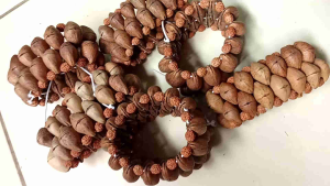 Gelang jawara biji ginje burahol 1 sap.sekat Jenitri kecil