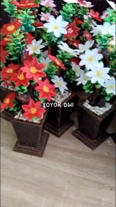 bunga meja oxilia bintang artificial