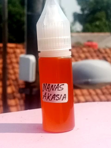 ESEN NANAS AKASIA UMPAN OPLOSAN IKAN GALAPUNG GALATAMA LOMBA HARIAN