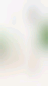 Stainless Steel Clothes Drying Rack