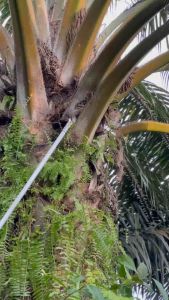 EGREK 222 IMJ BONUS JALAU MALAYSIA