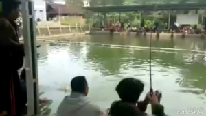 RACIKAN UMPAN BAWAL JAWARA MEDE PRESTO99