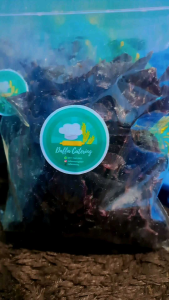 kripik ubi ungu manis renyah gurih