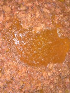 น้ำมันไก่ แท้ 100% ขนาด 500 ml.