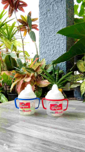 แก้วหัดดื่ม คาเนชั่น 240 ml