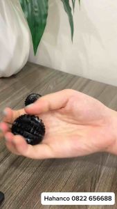 Quả cầu gai diện chẩn bằng sừng - Tập cơ tay phục hồi chức năng/ Thư giãn - MH320