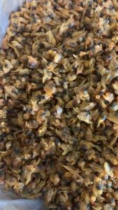 Dried Clams Meat| 精选花甲肉/拉拉干