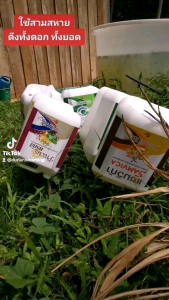 แนะนำชุด ป้องกันหยุดกานหวุดร่วงของผลอ่อน 3 สหาย+14-14-14