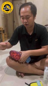 ฟิล์มติดขอบรองเท้าฟุตบอล เซ็ต1โหล(12คู่) ขนาด1.2ซม ยาว27ซม