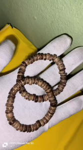 gelang kelapa buta
