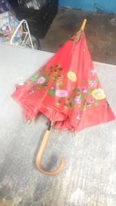 Versatile 22 Inch Umbrella - Stylish Random Colors for Sunny and Rainy Days"