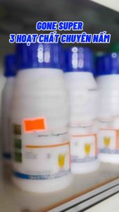 Thuốc Trừ nấm Gone Super 350EC 3 hoạt chất chuyên nấm rỉ sắt thán thư sương mai ghẻ sẹp đốm vằn đạo ôn lem lép hạt chai 240ml