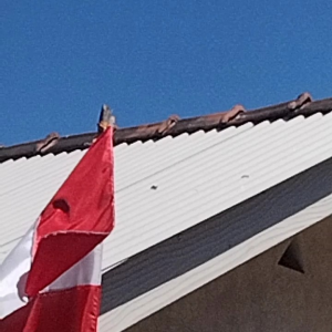 BENDERA kecil P 20cm x  L12cm isi 20 pcs