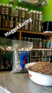 MAGOT KERING 1 KG
