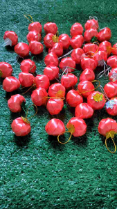 เหรียญโปรยทาน ตัวเปล่า ลูกแอปเปิ้ล ตกแต่งใบเลื่อม