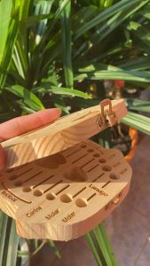 HỘP ĐỰNG RĂNG SỮA CHO BÉ BẰNG GỖ THÔNG