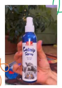 BioPetActive Catnip Spray (100ml) - Play Spray for Cats