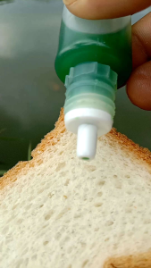 Essen nila media lumut/lukut