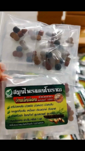 สมุนไพรแผนโบราณ ว่านเอ็นอ่อน หมอบุญทวี คำสีแก้ว สมุนไพรเพื่อสุขภาพ