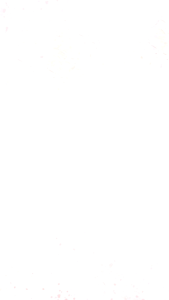 NYONYA BATIK skirt flare knee length fully elastic waist