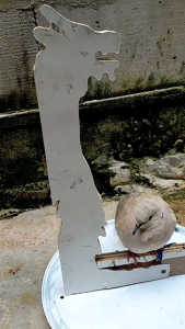 sangkar layang burung puter tekukur  geratis tali