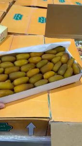 Kurma Rutoob Alami: Manfaat & Tips Konsumsi