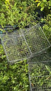 10 chiết rập bẫy ghẹ biển rập cua Biển loại lớn khung 40 x 60cm cao 22cm. Khung kẻm 4li2 mặt lưới 4p5 chỉ độ 15