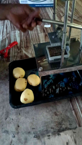 Alat pemotong kentang stick/potato French frish