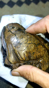 Patung batu ikan emas asli istimewa